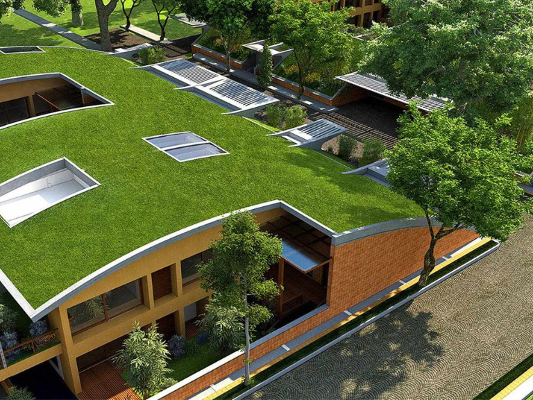 Total Environment After the Rain project-image